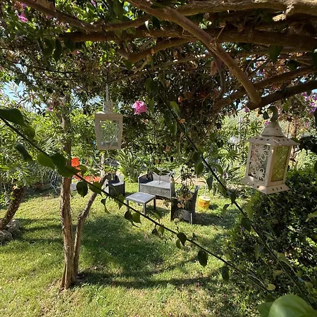 Yummicedde * Marina Di Casal Velino