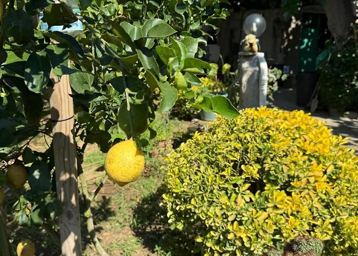 Appartamento Yummcedde